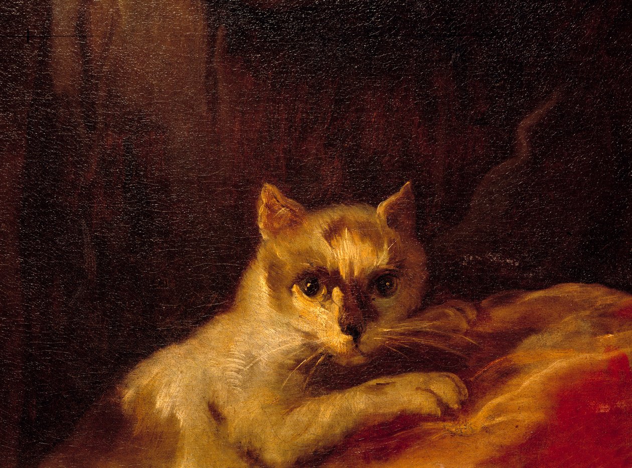 Mademoiselle de Charolais (dettaglio) da Charles Joseph Natoire