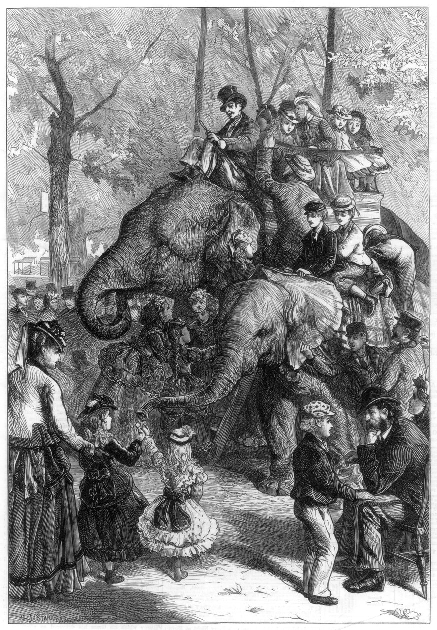 Lunedì pomeriggio ai giardini della società zoologica da Charles Joseph Staniland