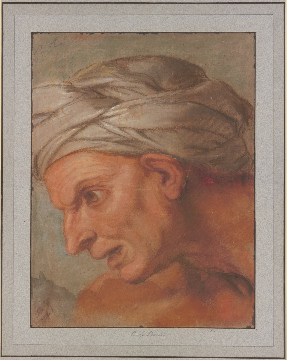 Testa di profilo verso sinistra tratta dall’opera “Le regine ai piedi di Alessandro Magno” da Charles Le Brun