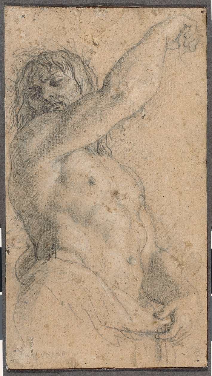 Studiare per un Herm da Charles Le Brun