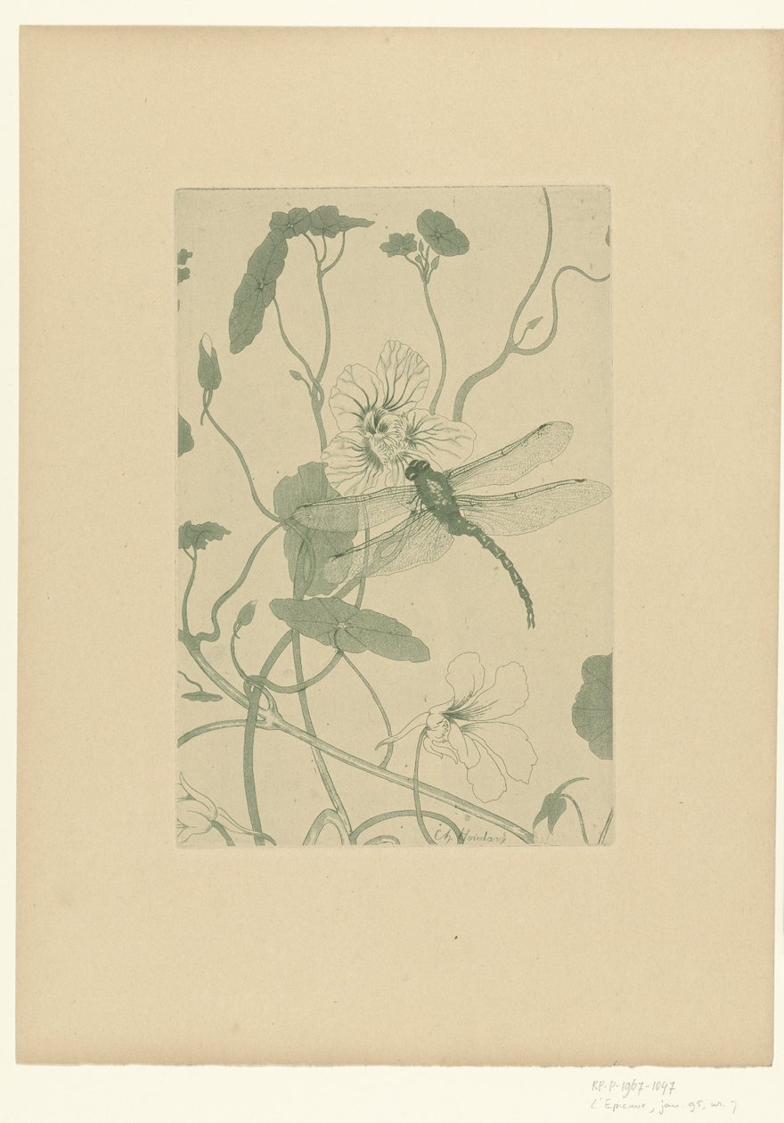 Libellula su fiore di nasturzio da Charles Louis Houdard