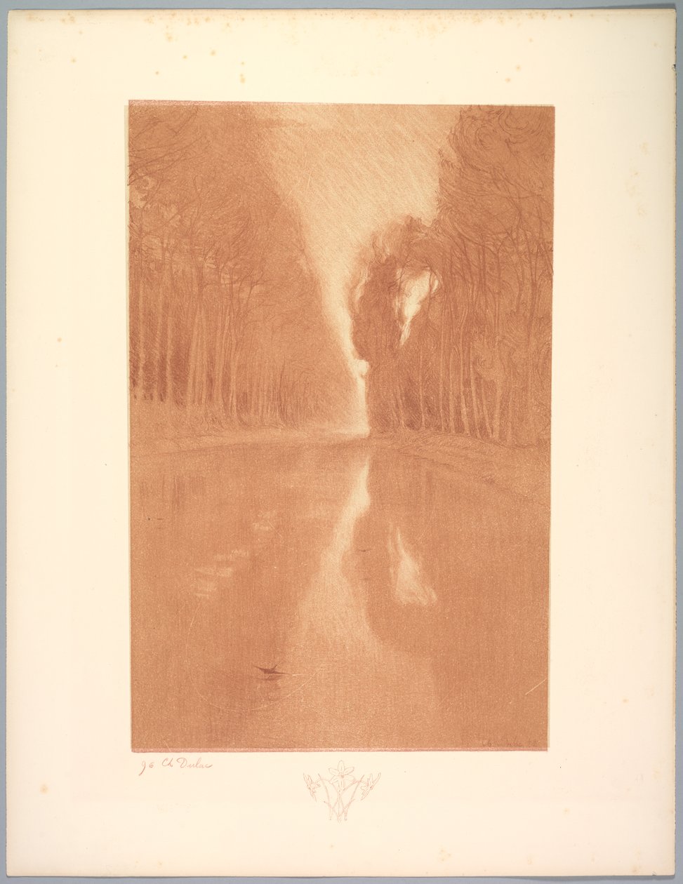 Suite de Paysages: Paesaggio, Tavola 2, Remarque, Starflowers, 1892-1893 da Charles Marie Dulac