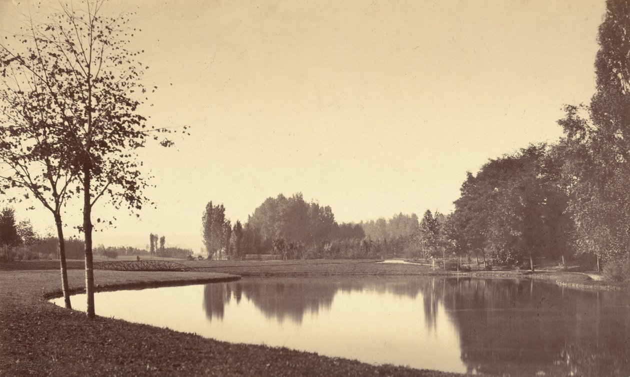 Bois de Boulogne, 1858 da Charles Marville