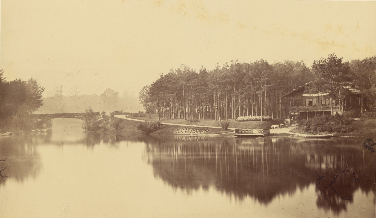 [Bois de Boulogne, Parigi] da Charles Marville
