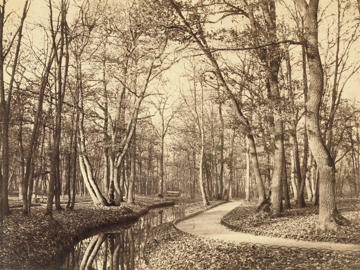 Bois de Boulogne, Parigi da Charles Marville