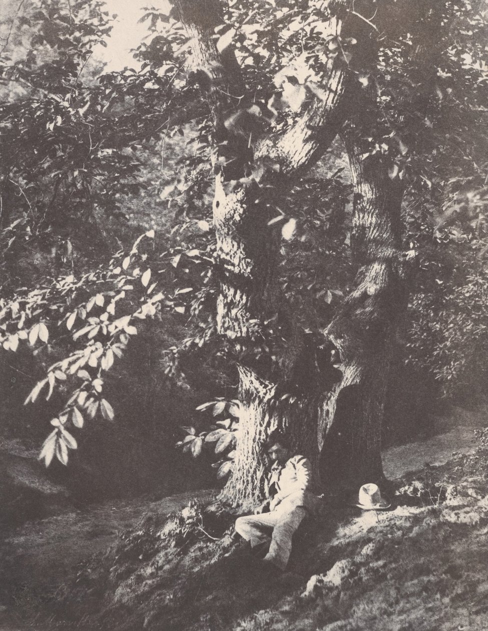 Uomo sdraiato ai piedi di un castagno, 1850-53 da Charles Marville