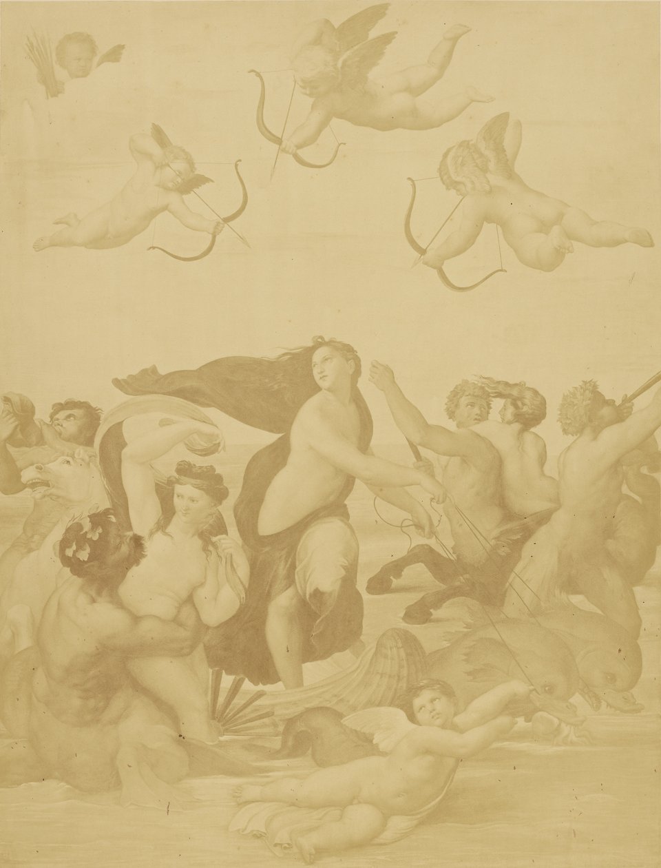 [Riproduzione di Galatea di Raphaël]. da Charles Marville