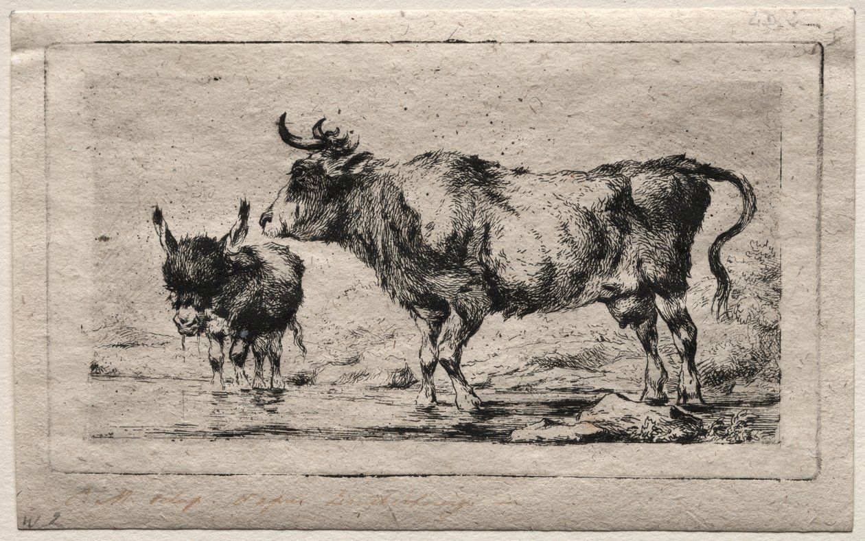 Mucca e Asino da Charles Meryon