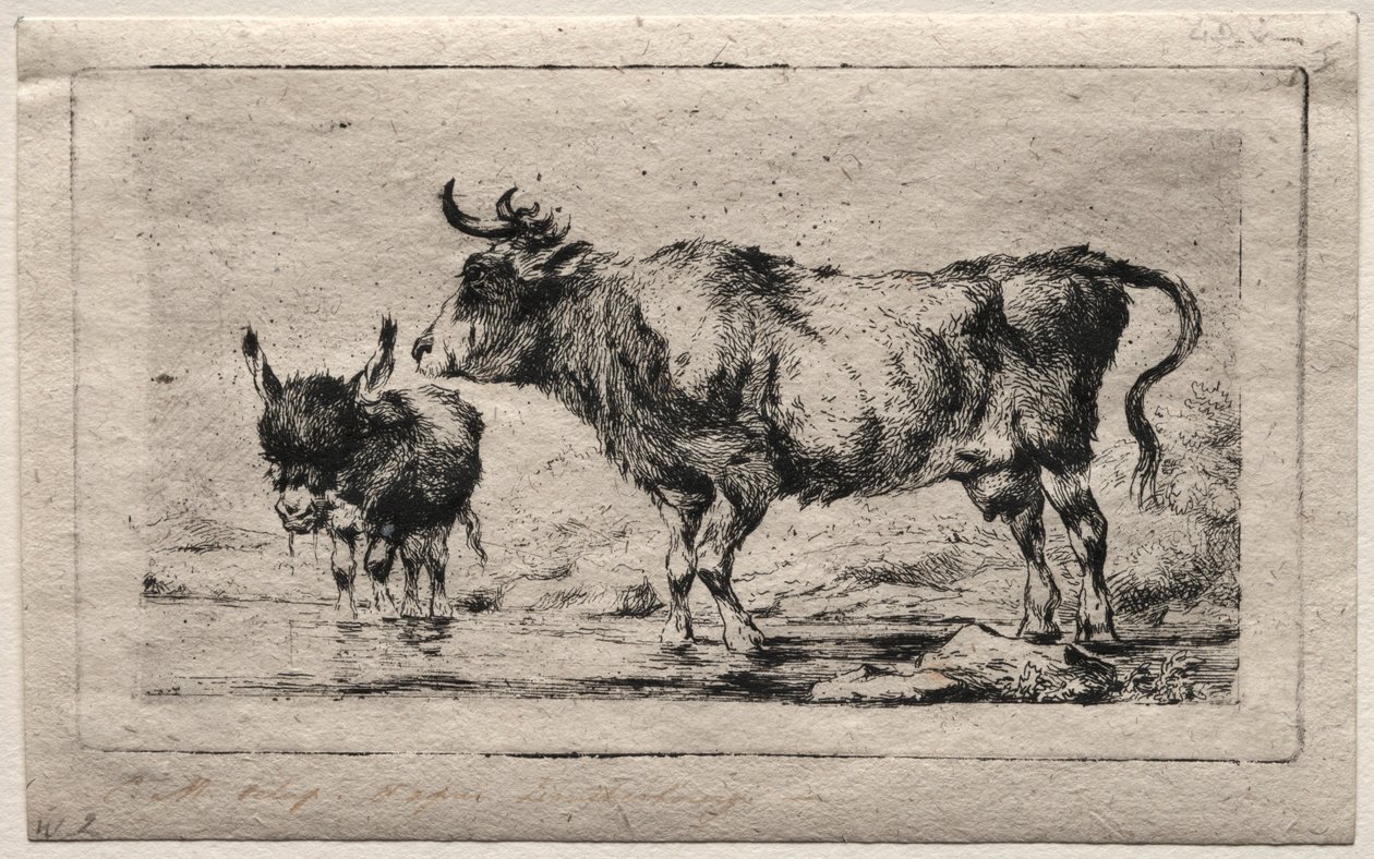 Mucca e asino, 1849 da Charles Meryon