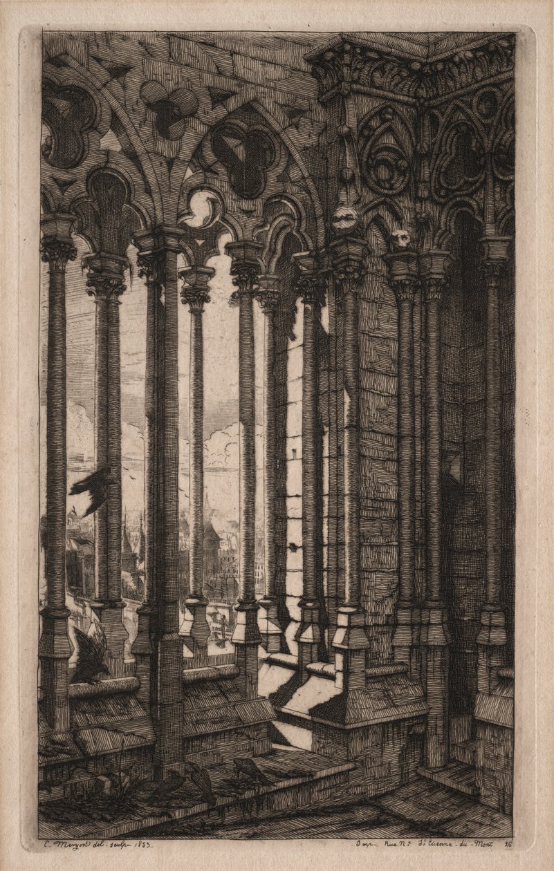 Incisioni di Parigi: La Galleria di Notre Dame, 1853 da Charles Meryon