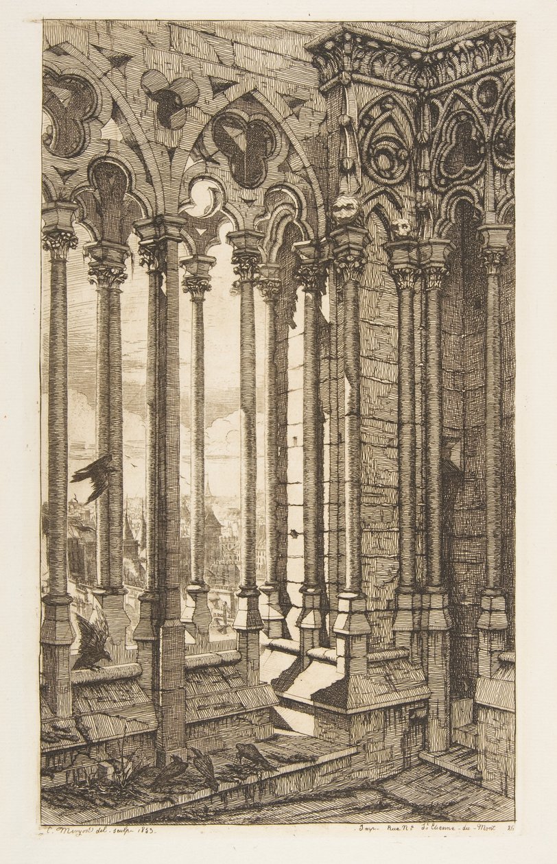 Galleria, Cattedrale di Notre-Dame, Parigi da Charles Meryon