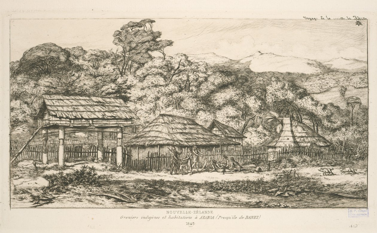 Granai indigeni e abitazioni ad Akaroa, penisola di Banks, illustrazione da 