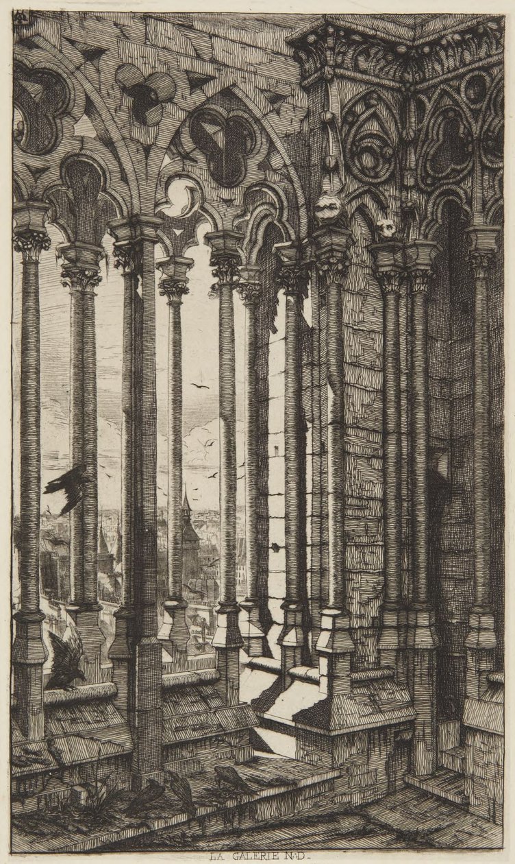La galleria, Notre-Dame da Charles Meryon