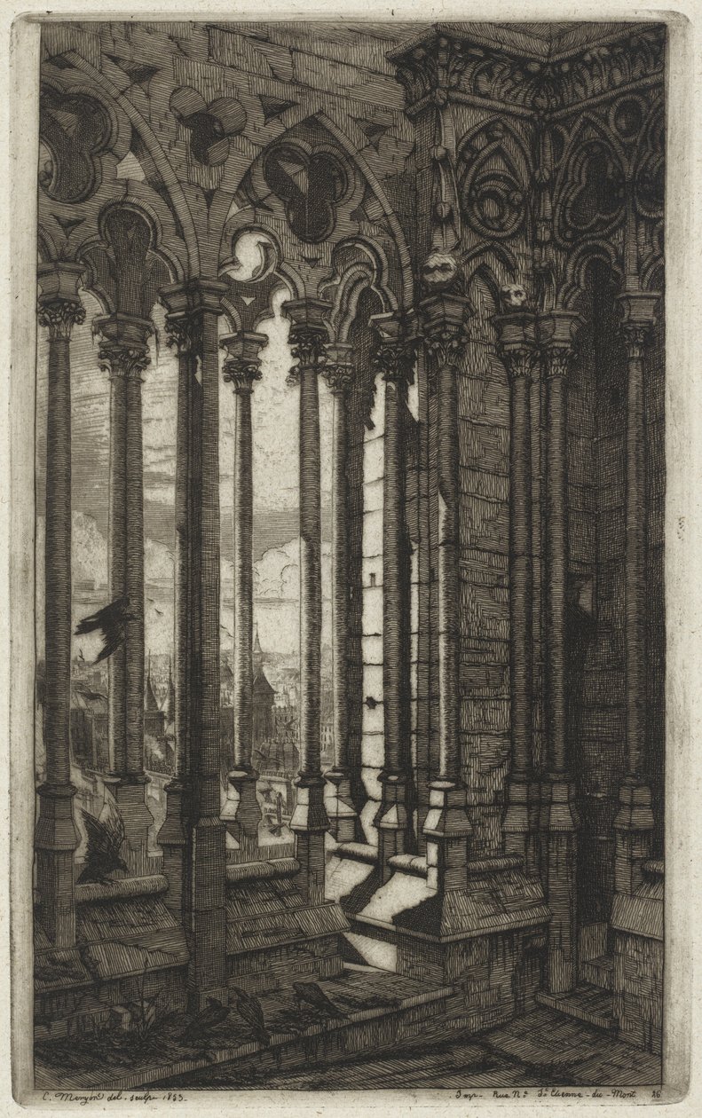 La galleria di Notre-Dame, Parigi da Charles Meryon