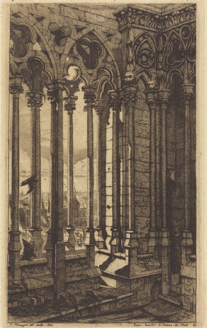 La Galleria di Notre-Dame, Parigi (The Gallery of Notre Dame, Paris) da Charles Meryon