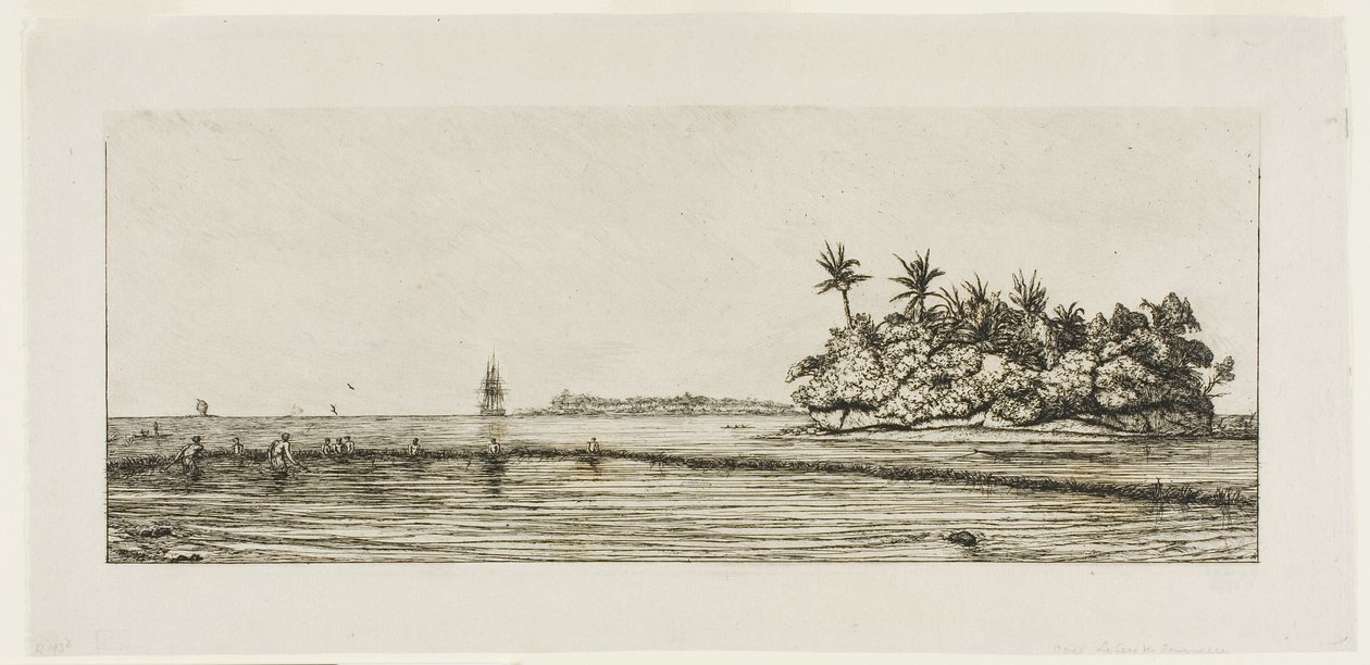 Oceania: Pesca, Vicino a Isole con Palme nel Gruppo Uea o Wallis, 1845 da Charles Meryon