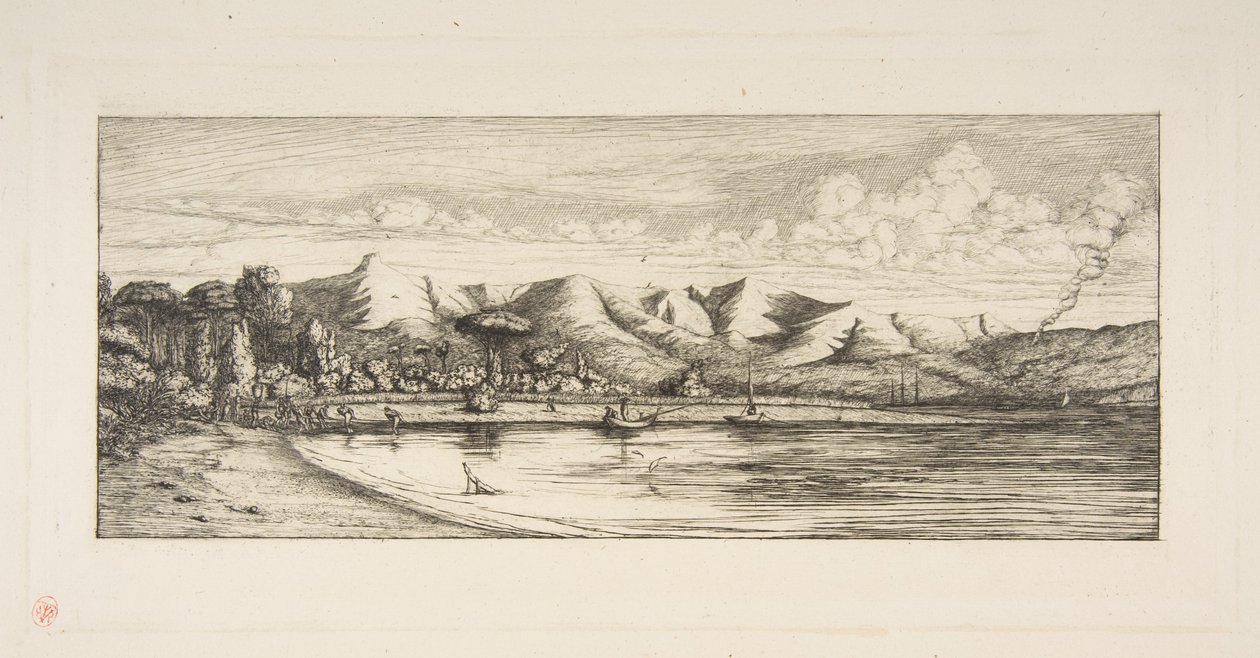 Penisola di Banks, Pointe des Charbonniers, Akaroa (Pesca alla selvatica al largo di Colliers