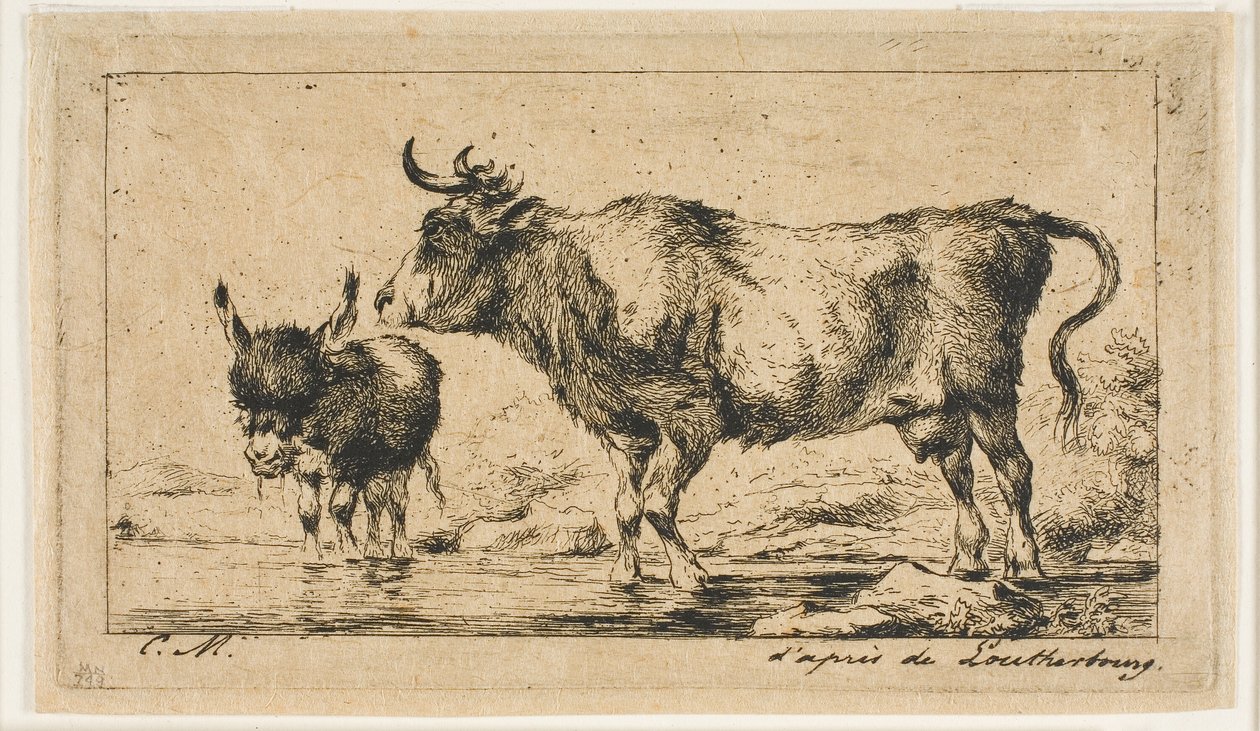 La mucca e l