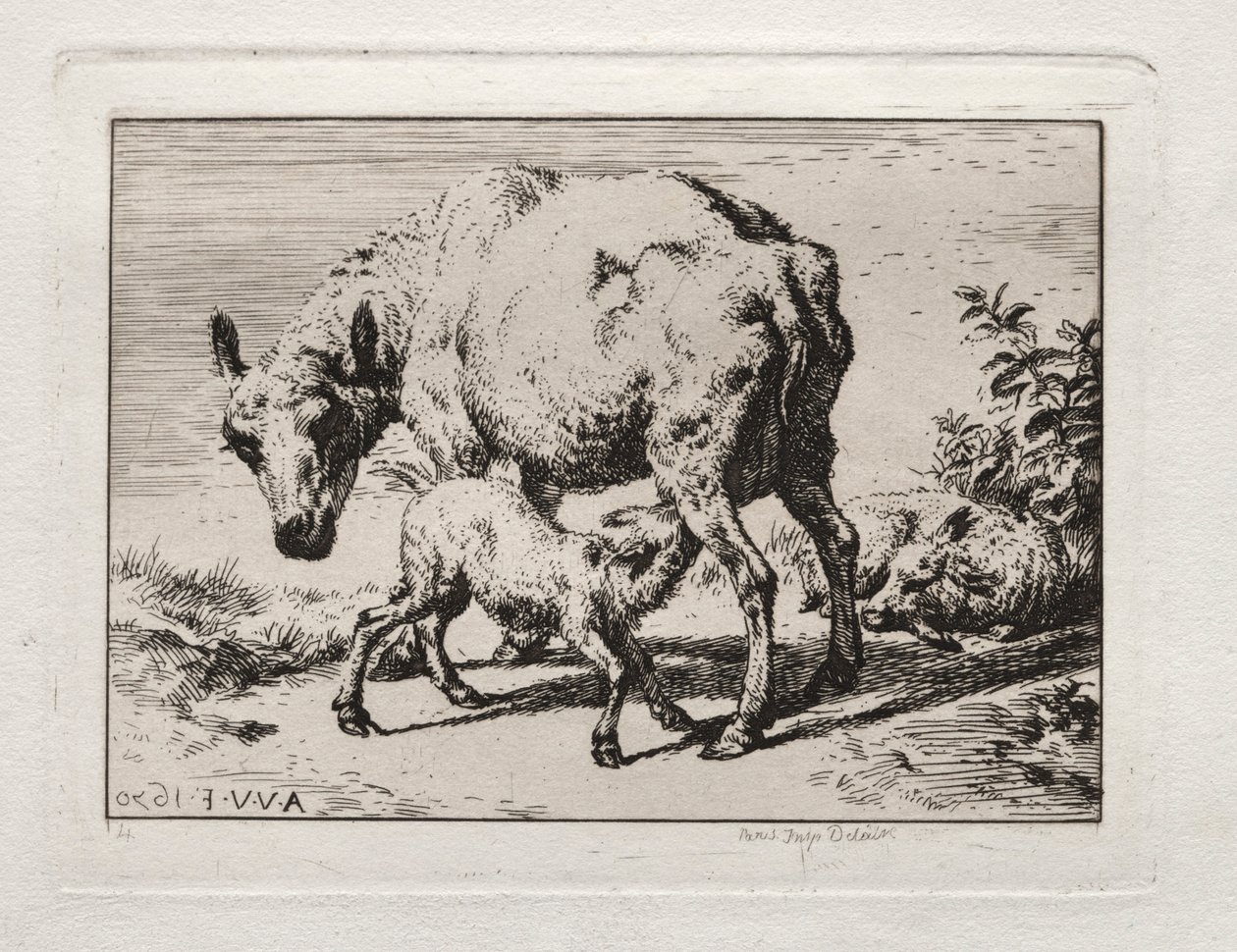 La pecora con due agnelli, 1850 da Charles Meryon