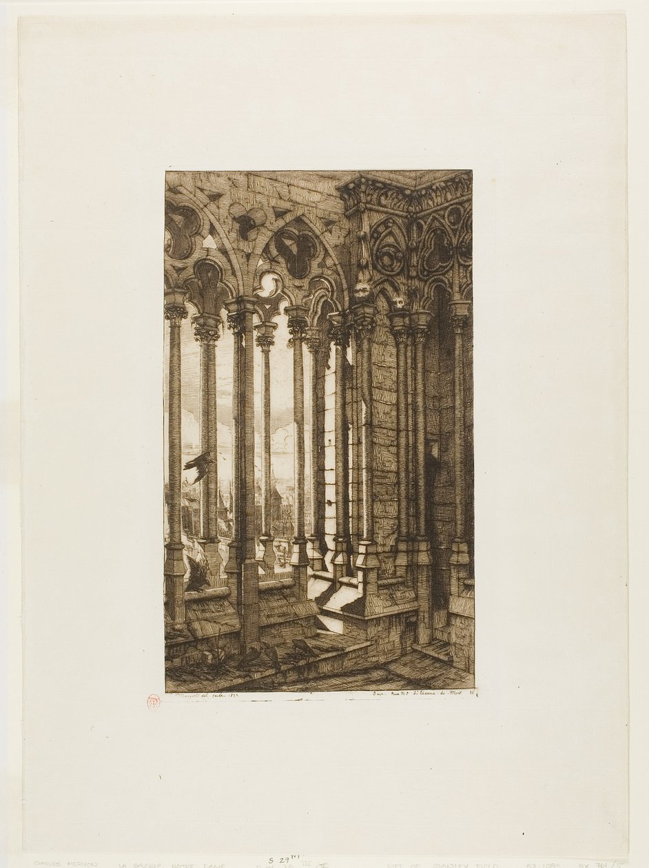 La galleria di Notre-Dame, Parigi da Charles Meryon