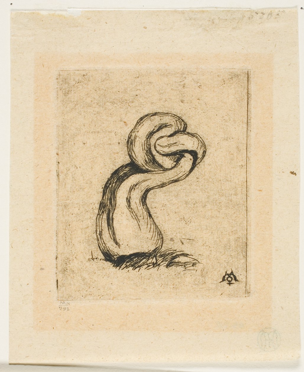 Il crittogama malaticcio da Charles Meryon