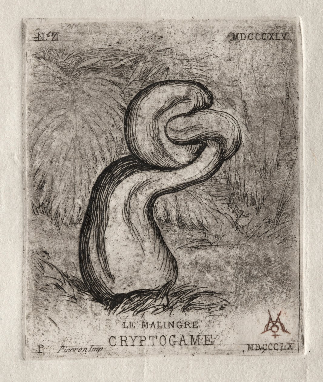Il crittogama malaticcio, 1860 da Charles Meryon