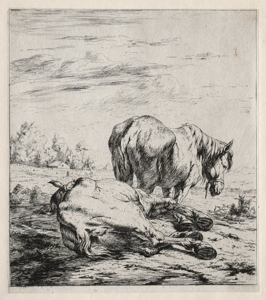 I due cavalli, 1850 da Charles Meryon