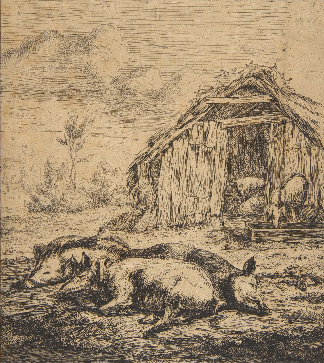 Tre maiali sdraiati davanti a un capanno, 1850 da Charles Meryon