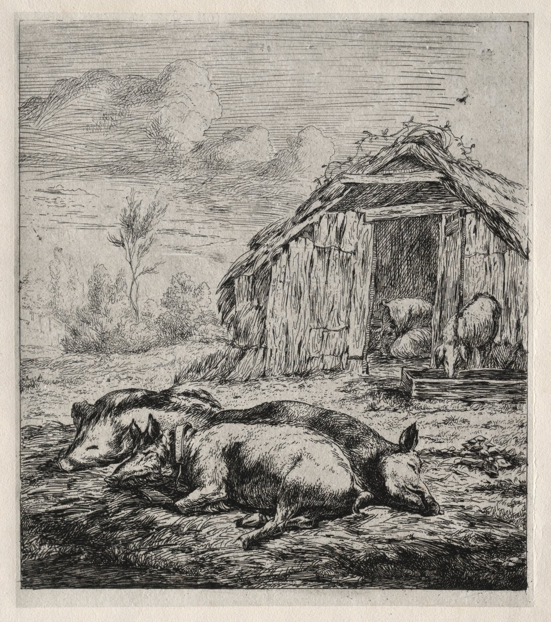 Tre maiali sdraiati davanti a una stalla, 1850 da Charles Meryon