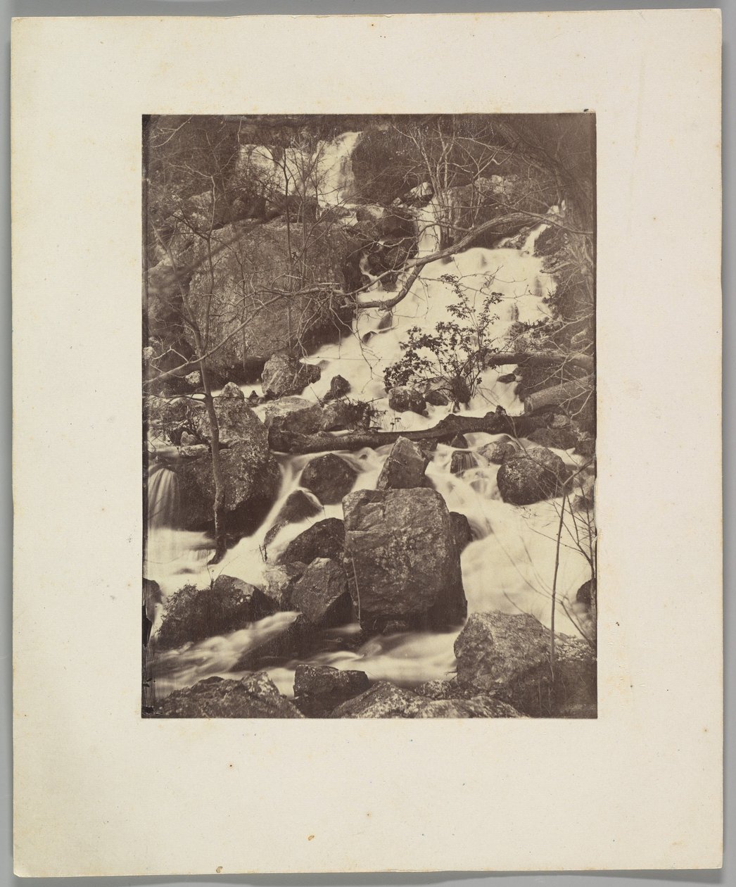 [Alberi e cascate] da Charles Nègre