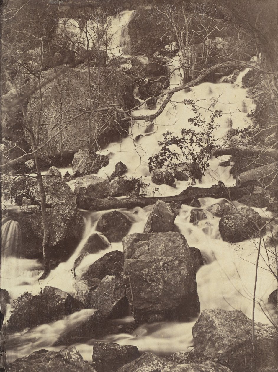 [Alberi e cascate], 1860-65 da Charles Nègre