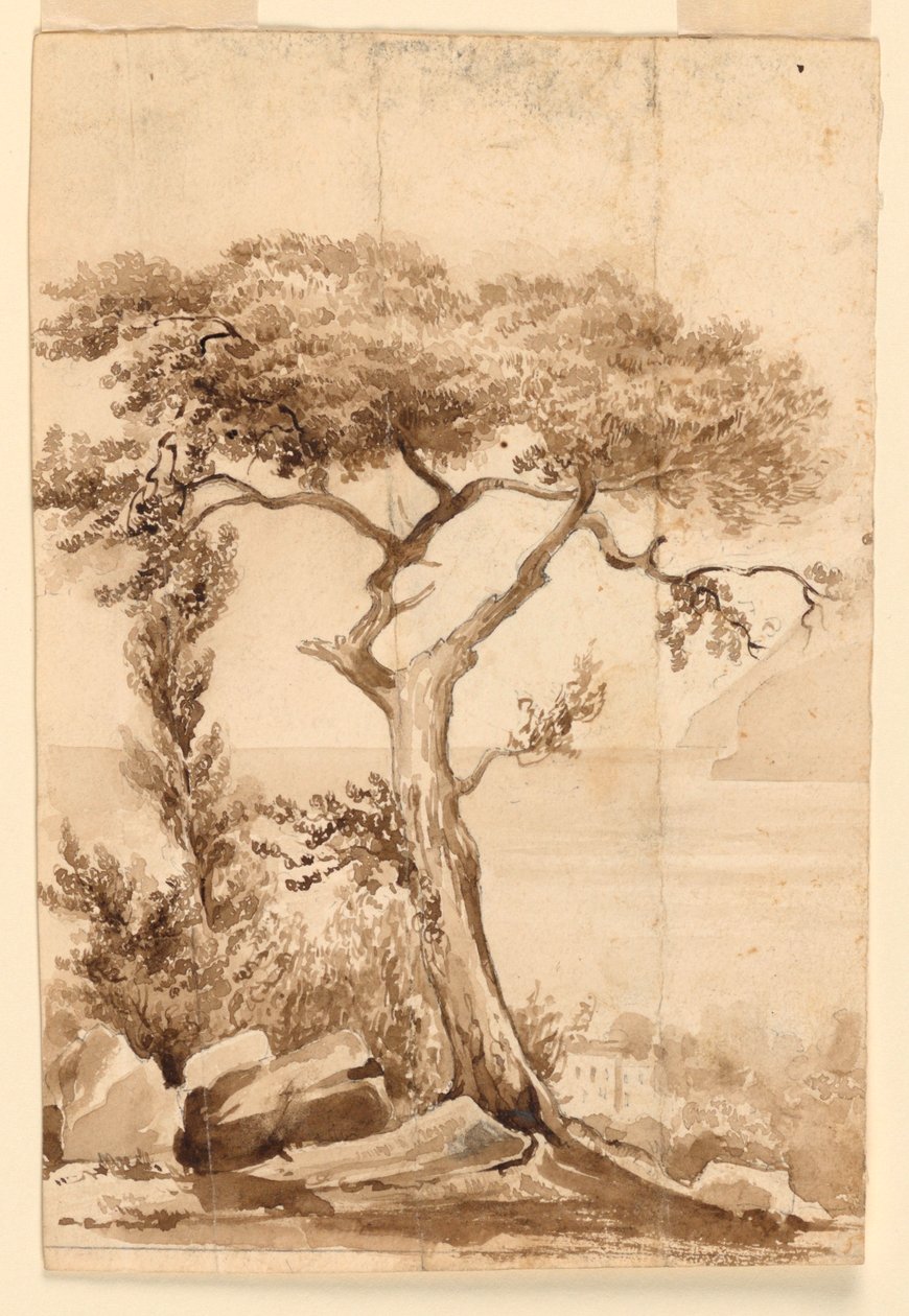 Sulla costa del Mar Mediterraneo da Charles Nicolas Ransonnette