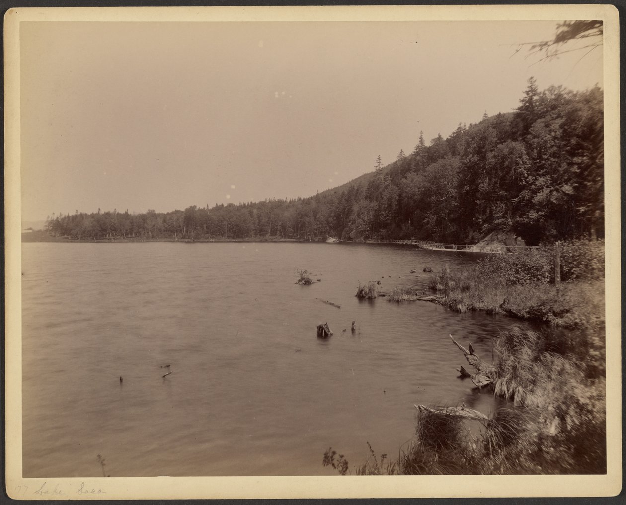 Lago Saco da Charles P. Hibbard