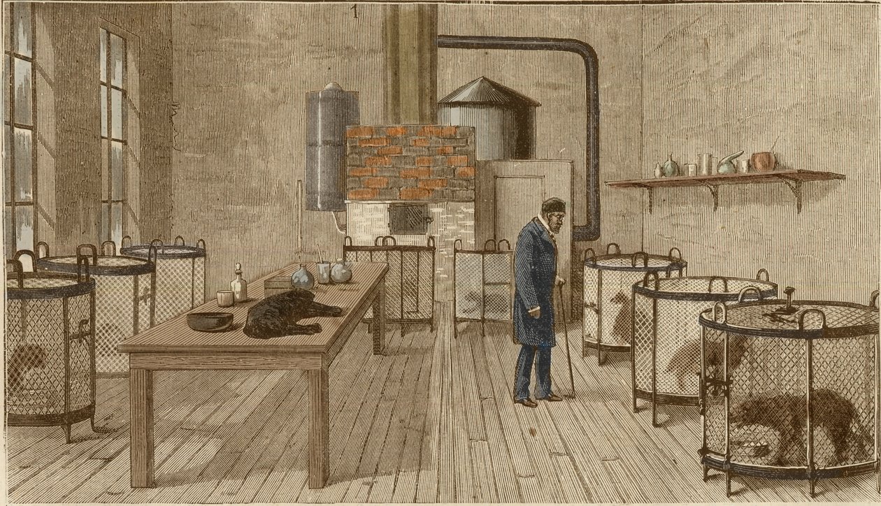 Cani in gabbia nel laboratorio di Louis Pasteur da Charles Paul Renouard