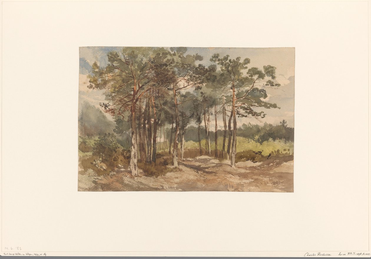 Gruppo di alberi nei boschi vicino a Driebergen da Charles Rochussen
