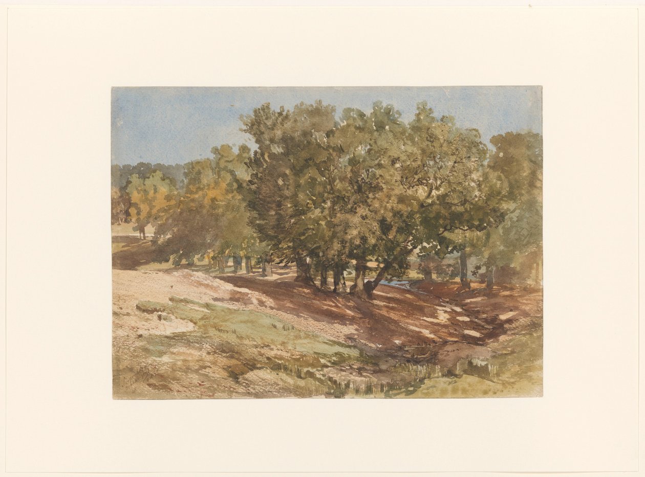 Veduta di Beekhuizen, sulla Zijpenberg da Charles Rochussen