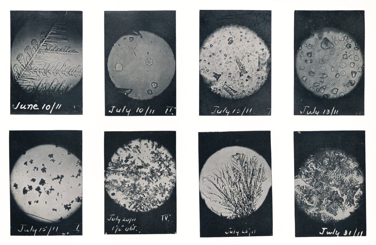 Cristalli di ghiaccio nella crepa da Charles S Wright