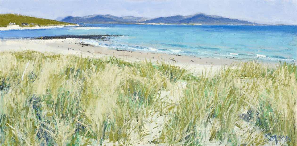 Erbe della spiaggia, Berneray, 2011 (olio su tela) da Charles Simpson