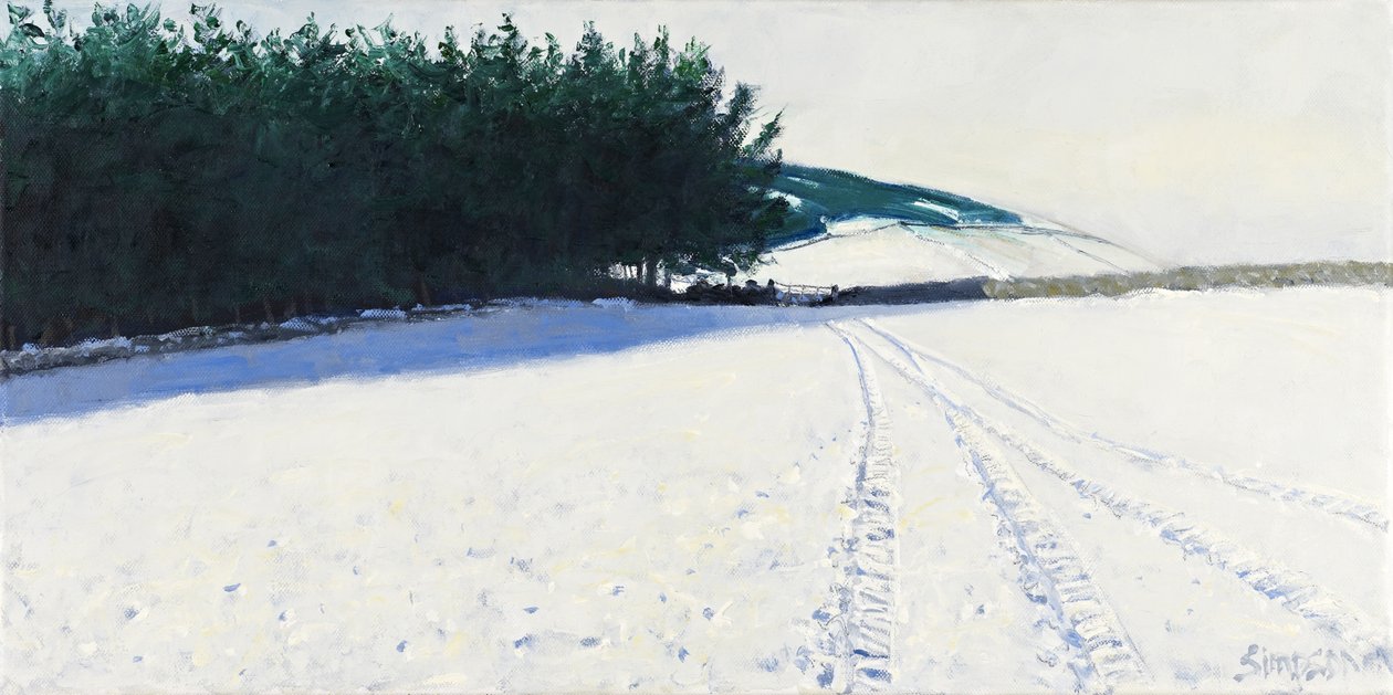 Alberi scuri e neve, 2011 (olio su tela) da Charles Simpson
