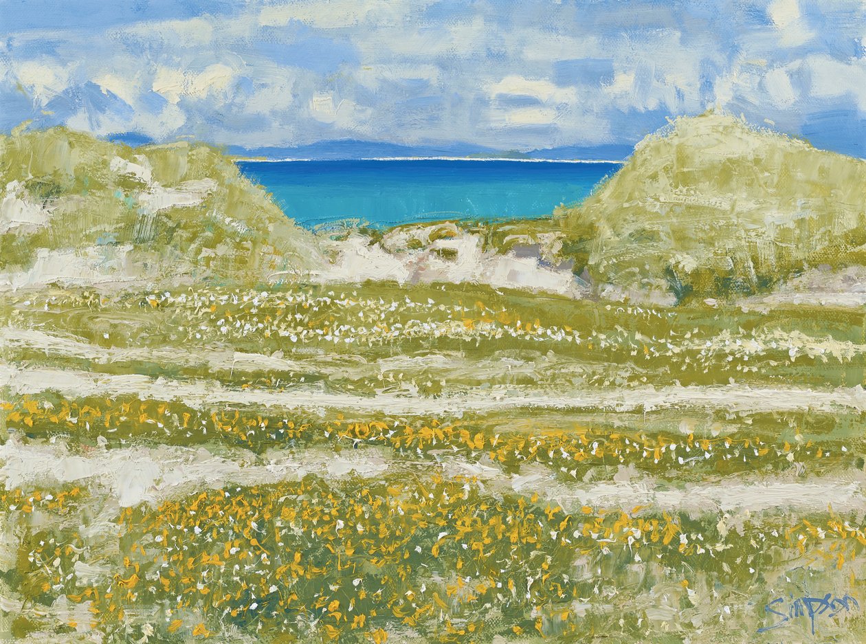 Scorcio di Harris, 2014 (olio su tela) da Charles Simpson