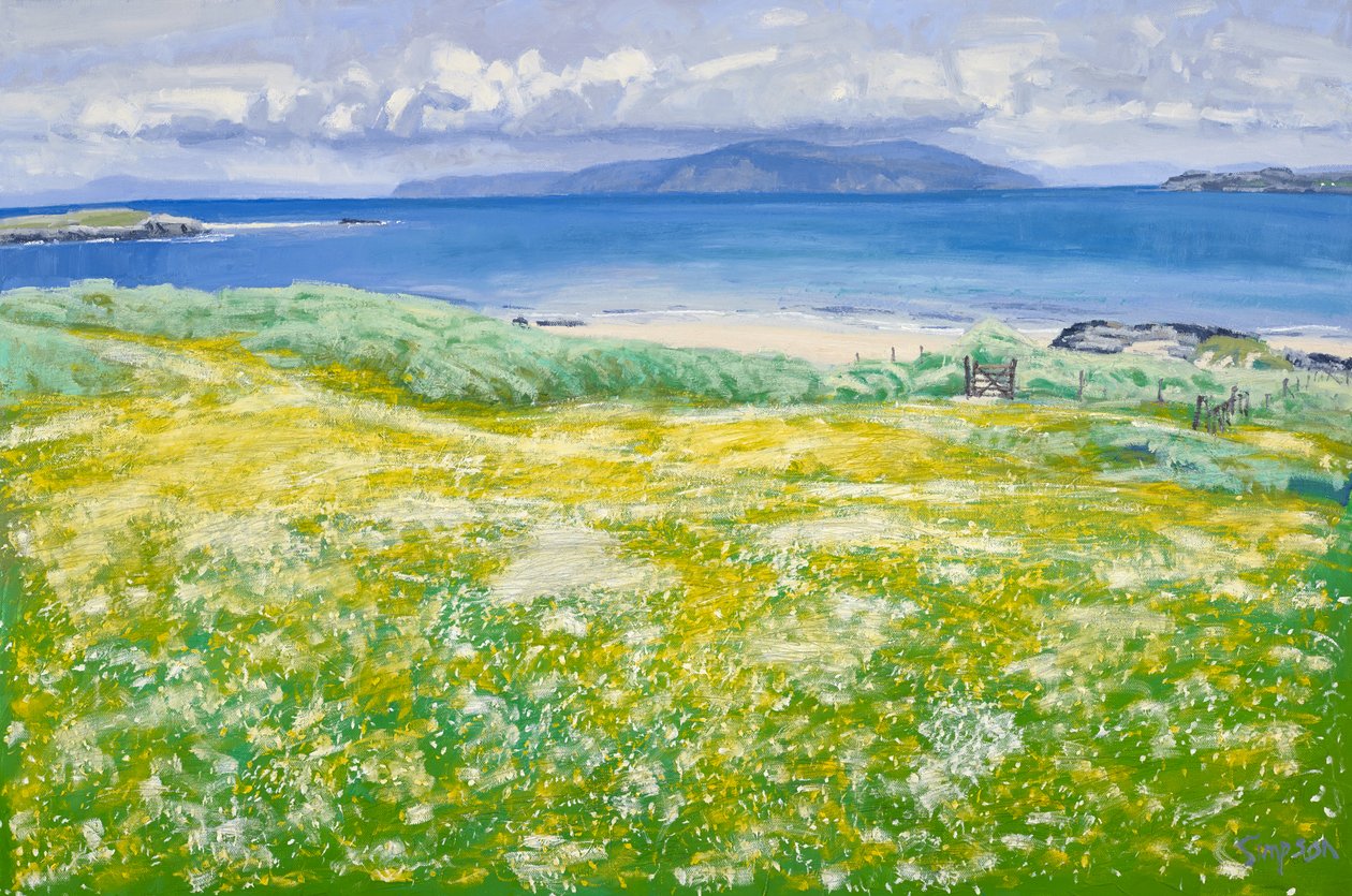 Machair, North End Iona, 2015 (olio su tela) da Charles Simpson