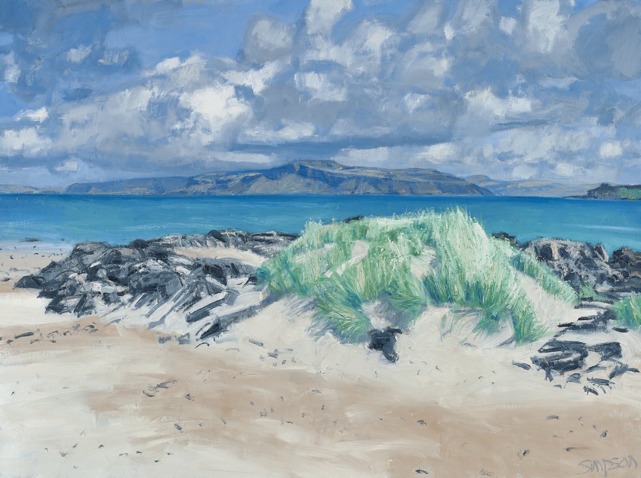 Rocce ed erbe, Iona, 2013 (olio su tela) da Charles Simpson