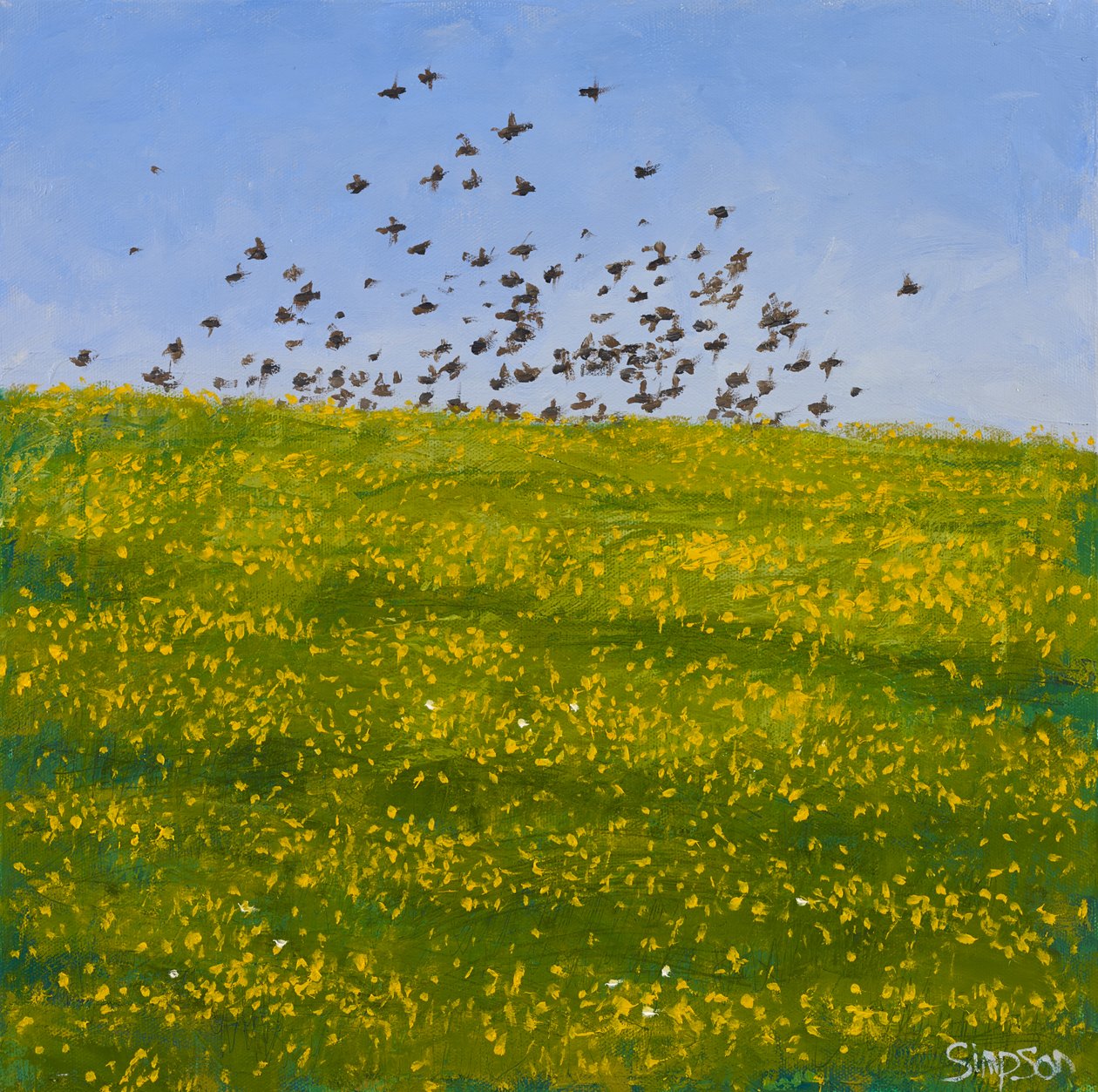 Storni e ranuncoli, Iona, 2015 (olio su tela) da Charles Simpson