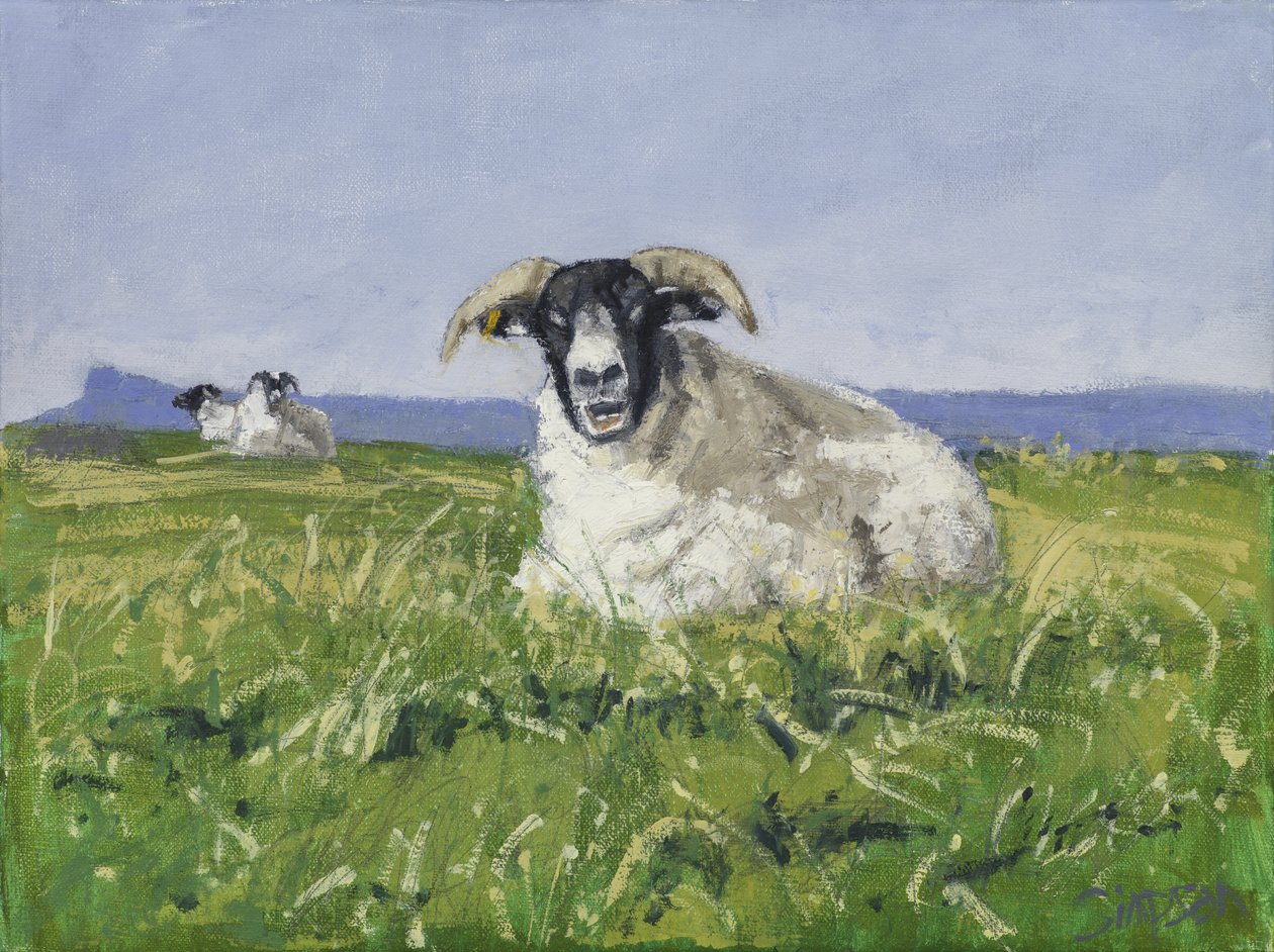 Pecora della costa occidentale, 2017 (olio su tela) da Charles Simpson
