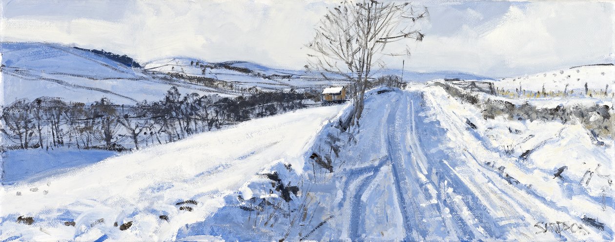 Winter Valley, 2011 (olio su tela) da Charles Simpson