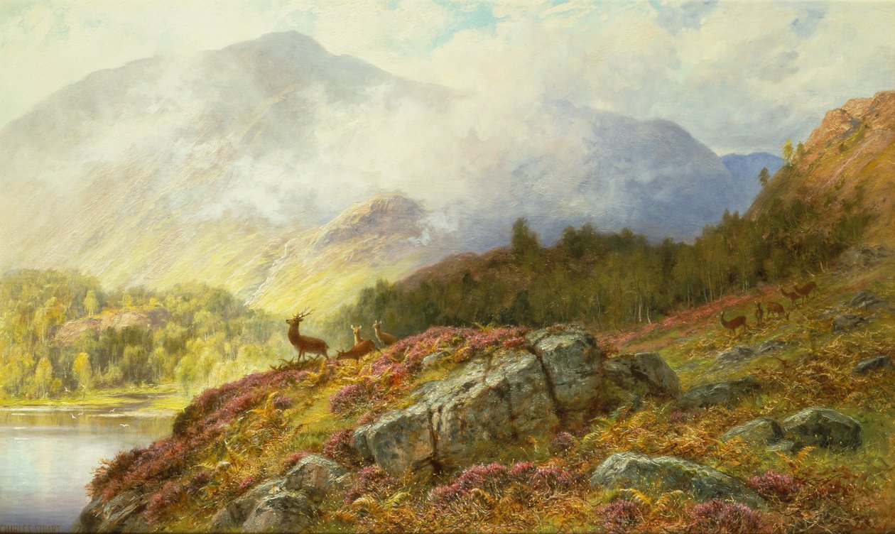 Cervi in un paesaggio montano da Charles Stuart