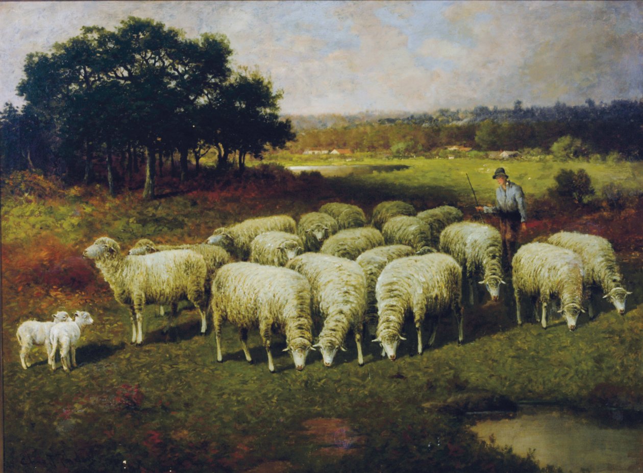 Un pastore con le sue pecore nel campo, 1898 da Charles T. Phelan