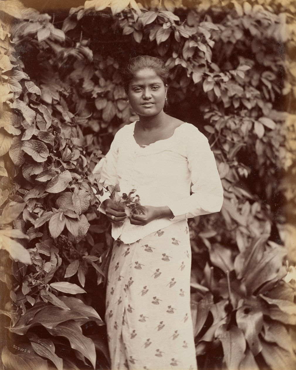 Cingalese da Charles T. Scowen