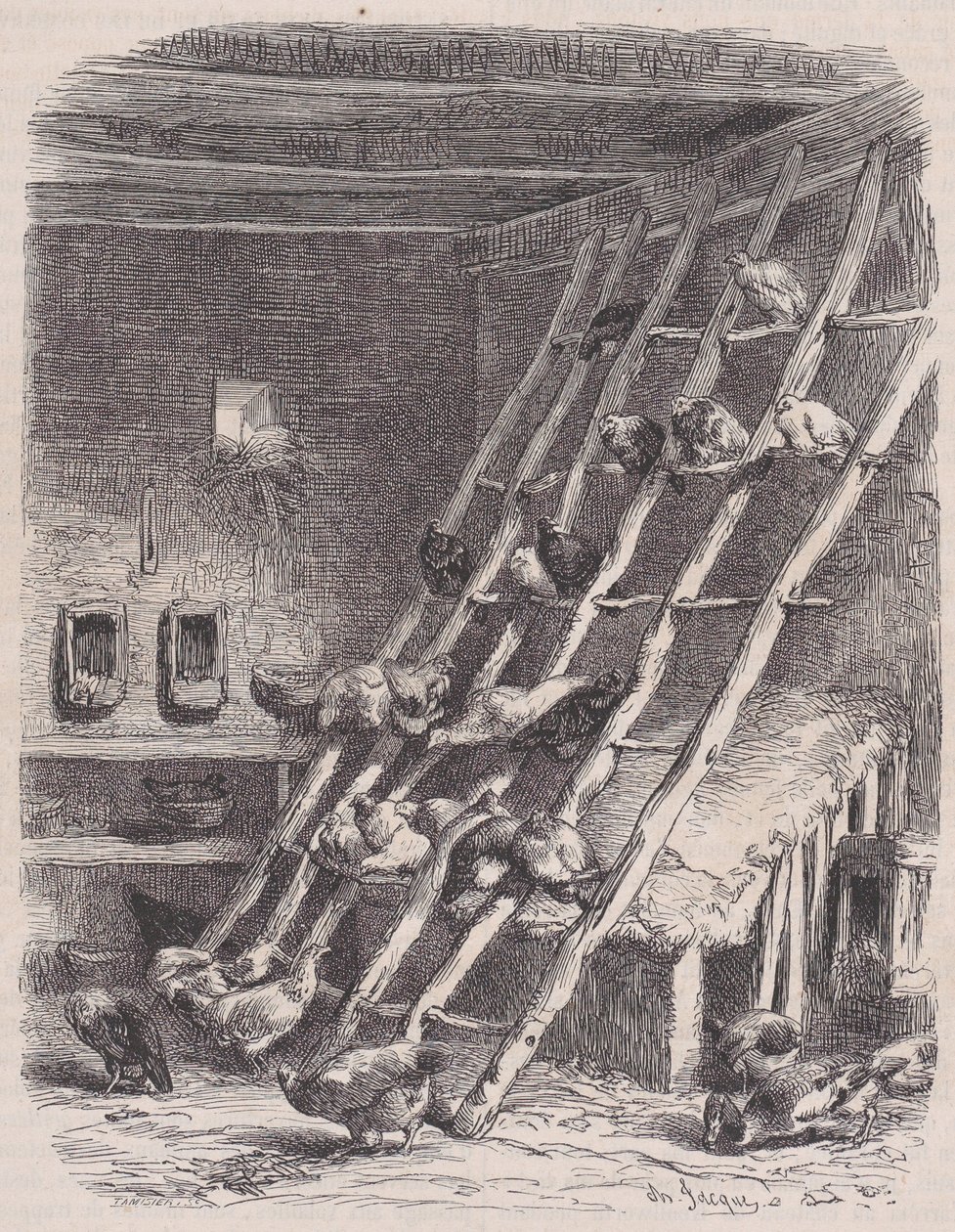 Visita a una fattoria - Il pollaio, da Le Magasin Pittoresque, ca. 1852 da Charles Tamisier