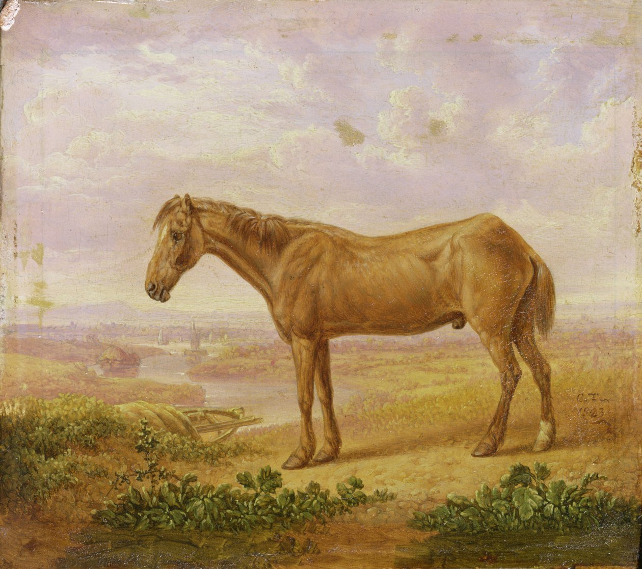 Vecchio Billy, un cavallo da tiro, di 62 anni da Charles Towne